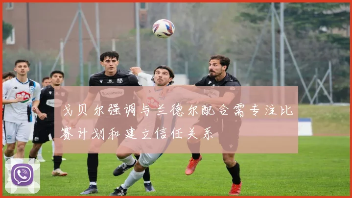 戈贝尔强调与兰德尔配合需专注比赛计划和建立信任关系
